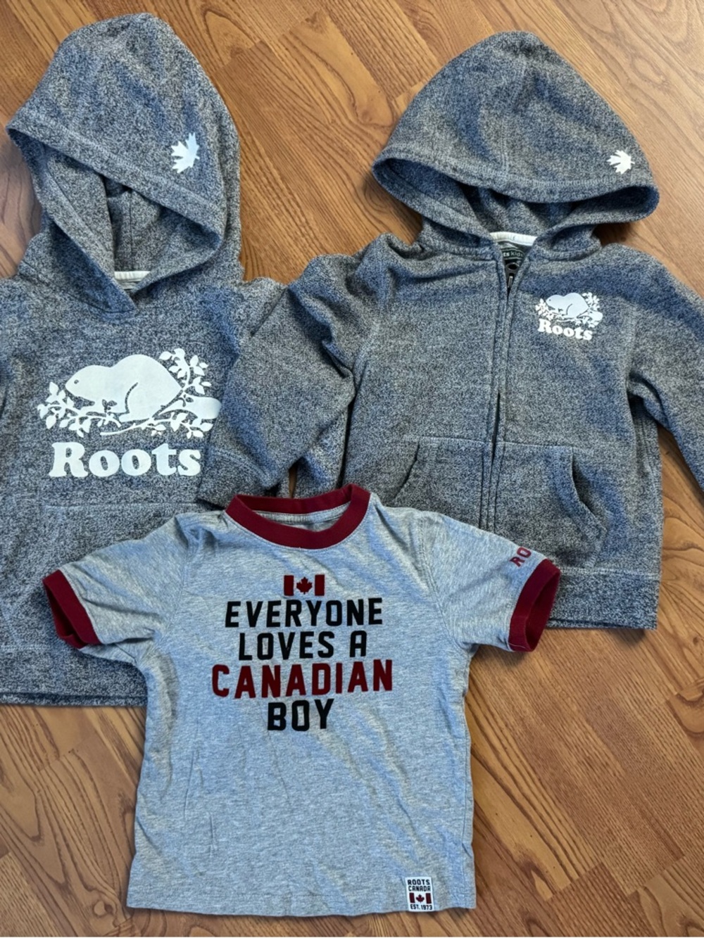 Roots Kids 5T Hoodies & Grey Tee Set